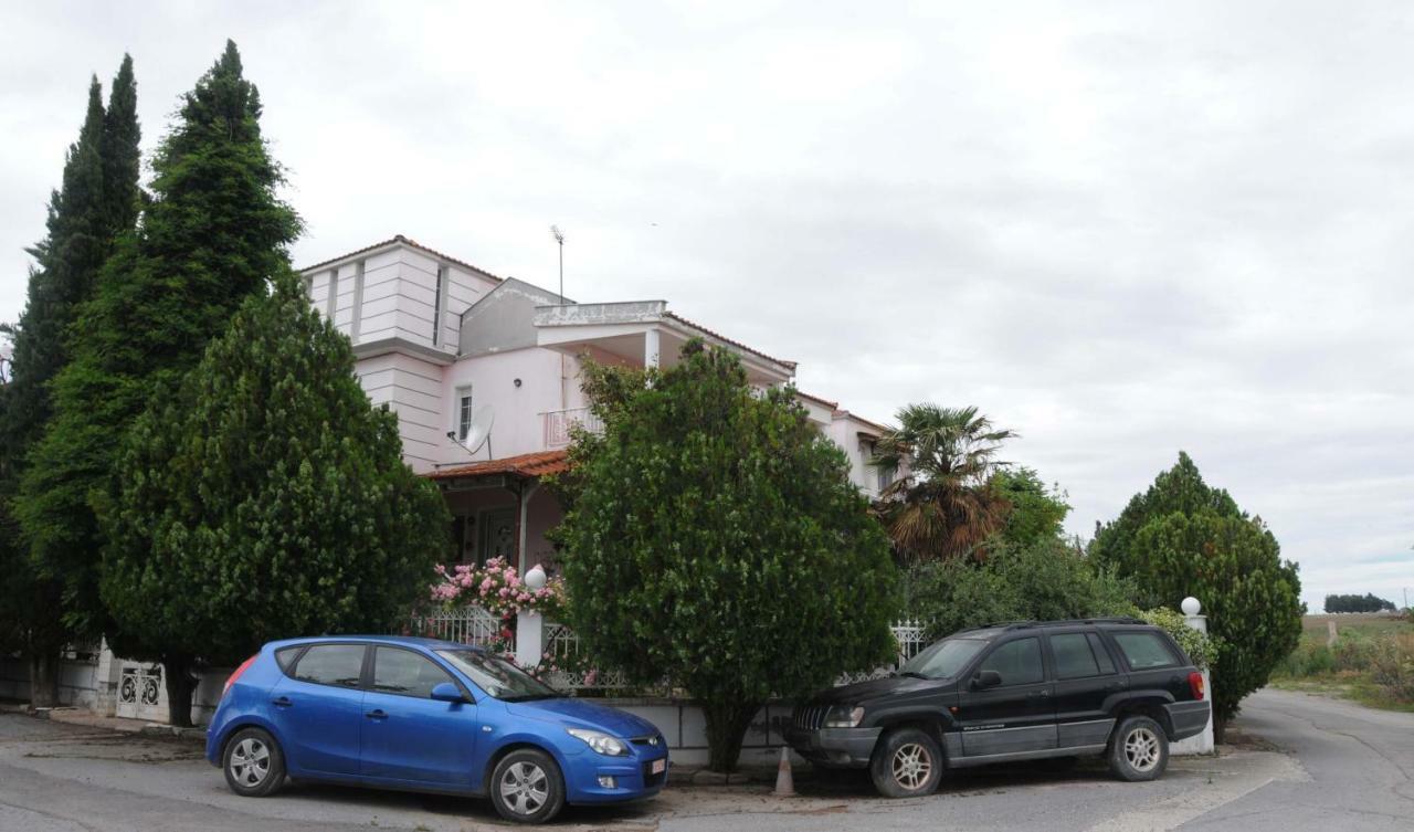 House Of Arts